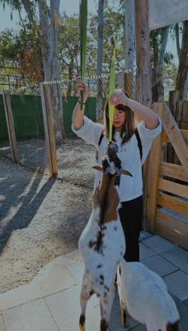 提供寄貨格式服務的專家唐于鈊