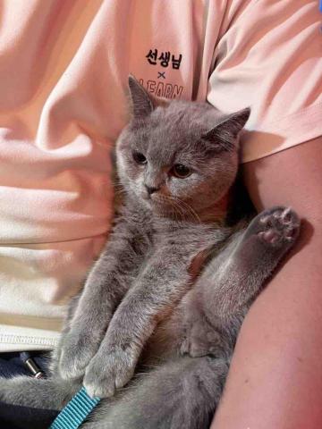 Mr.潘 跑腿（想吃什麼我幫你買） - 跑腿