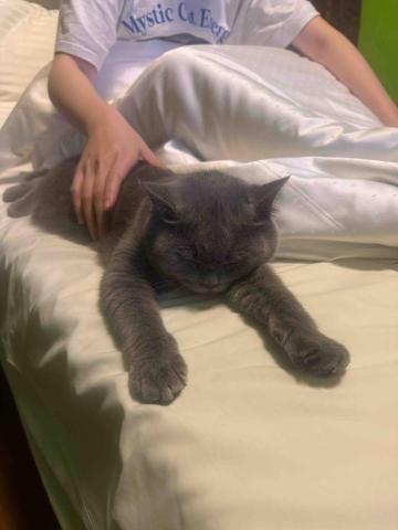 Mr.潘 跑腿（想吃什麼我幫你買） - 跑腿