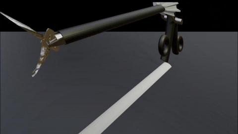 楊閔傑 - 醫療器材（maryland)