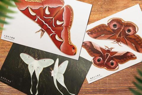 Elia - 動植物繪圖