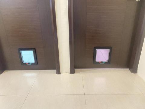 江政倫 - 寵物門安裝
木門