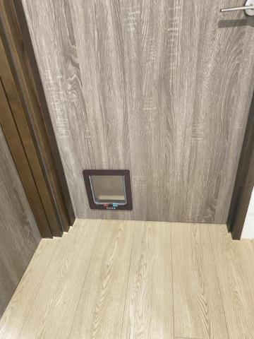 江政倫 - 寵物門安裝
木門