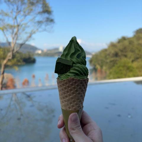 提供鳥寄宿服務的專家倉鼠寄宿