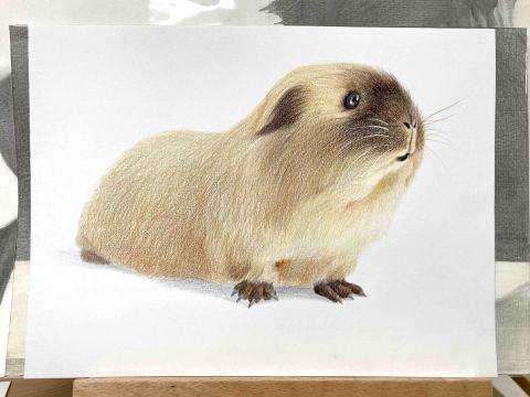 彩果子繪畫 - 示範