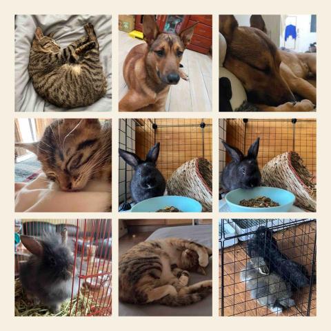 五毛寶媽咪 - 家裡的五個寶貝❤️