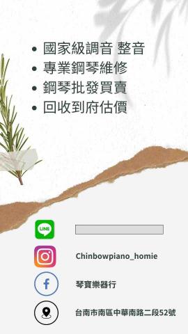 陳奕勳 （琴寶樂器） - 