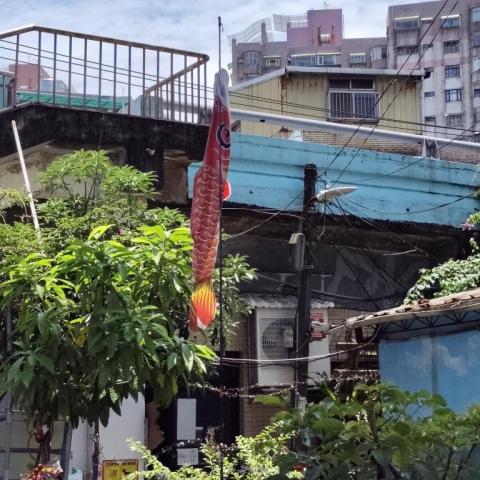 林琦玉 - 园区域