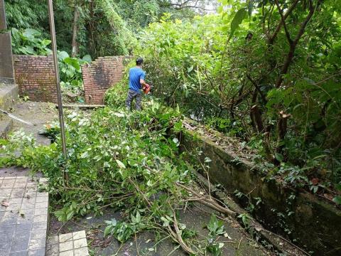 劉振興工程-園藝師父（Monkey） - 
