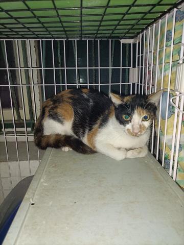 正和的加減乘除 - 