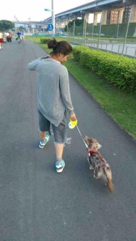 林佳諭 - 遛狗師與寵物陪伴 這隻狗狗目前已14歲 這是牠年輕的照片 林佳諭 - 遛狗師與寵物陪伴 這隻狗狗目前已14歲 這是牠年輕的照片