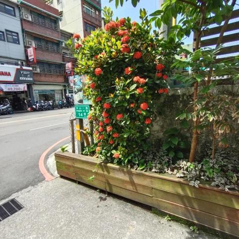 林琦玉 - 园区花草