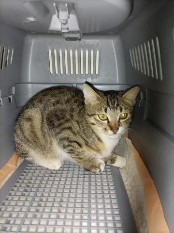 正和的加減乘除 - 