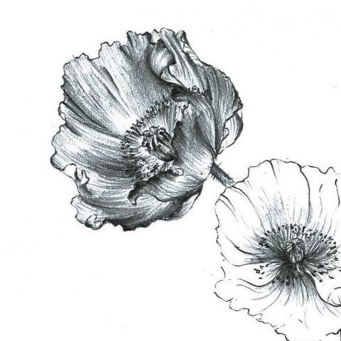 提供廣告設計高雄服務的專家Mint