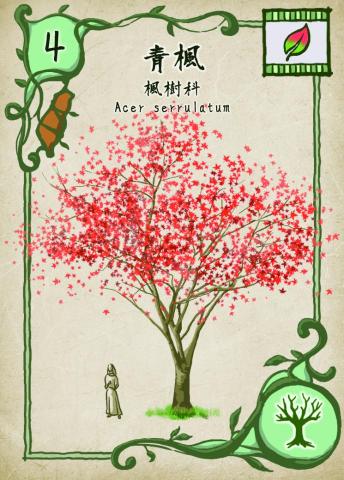 TommySue - 桌遊卡牌設計