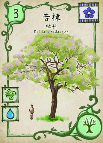 TommySue - 桌遊卡牌設計