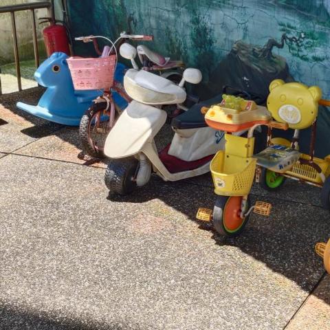 林琦玉 - 清除地板外围园ㄧˋ草地树木修剪艺草园区浇水