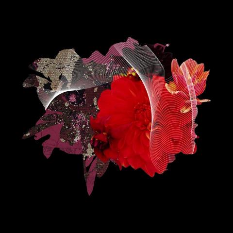 巨承設計 / David 江 - 視覺創作