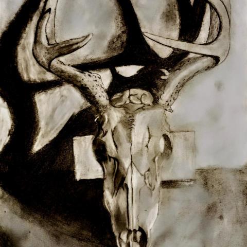 繪畫設計 - 素描