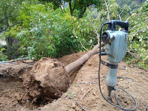 松田工程行 - 樹木移植