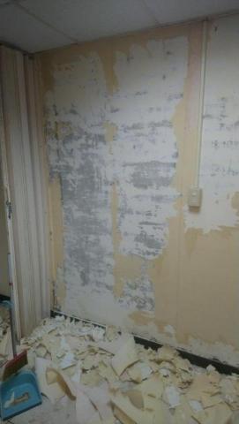 羅進聰 - 清除壁紙，改換油漆