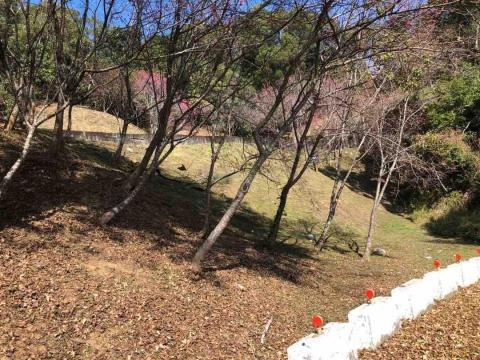 小巴個人工作室 - 