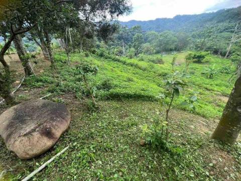 小巴個人工作室 - 