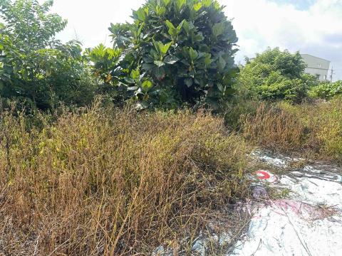 瑋羽園藝工坊 - 芬園
施工（前）