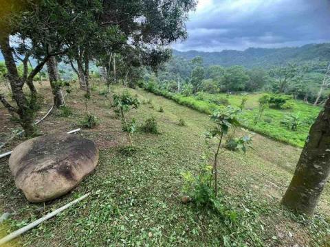 小巴個人工作室 - 