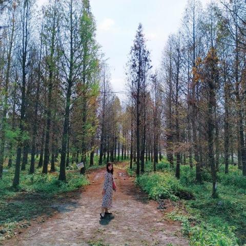 提供黏土服務的專家喬喬