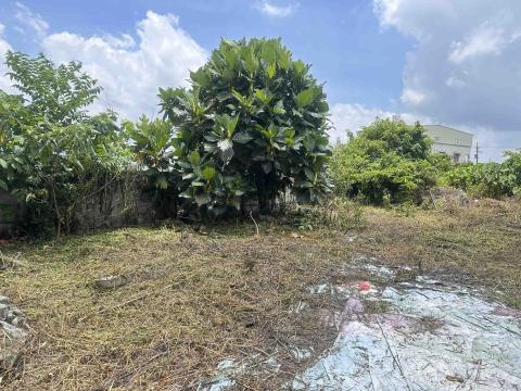 瑋羽園藝工坊 - 芬園
施工（後）