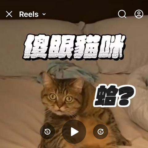 提供deepl翻译pdf服務的專家劉安財