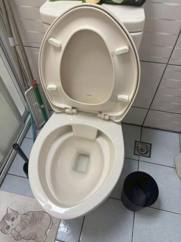 克林學苑 - 馬桶清潔後