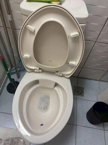 克林學苑 - 馬桶清潔前