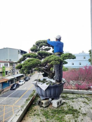 提供電梯維護廠商服務的專家拂雲庭園藝術創作坊