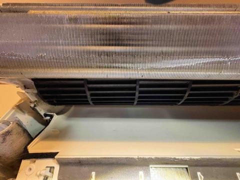 大源Yuan - 清洗後的狀態超乾淨