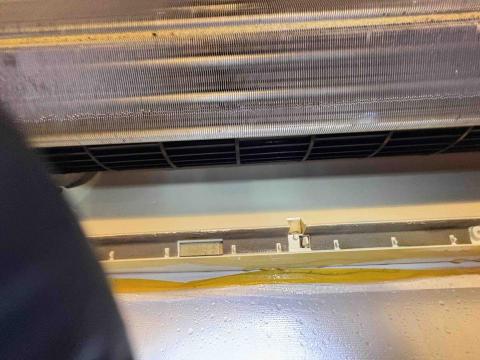 大源Yuan - 神奇的魔法