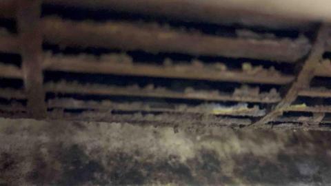 大源Yuan - 風鼓黴菌滿滿