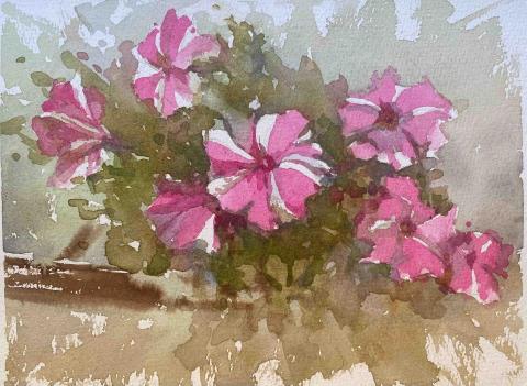 Jasmine老師 - 水彩