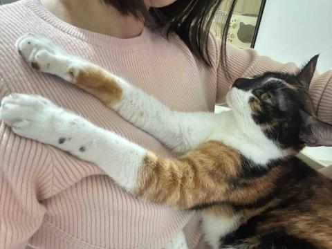 麥寶毛孩到府照顧 - 