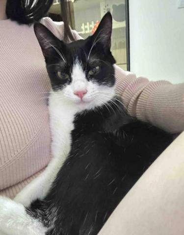 麥寶毛孩到府照顧 - 