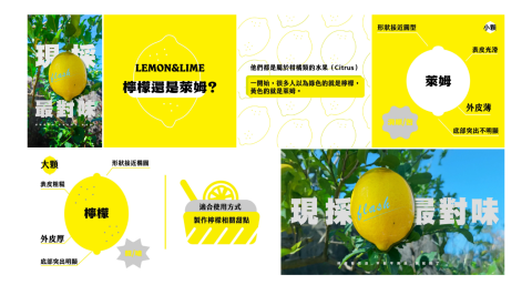 sinpin hsu - 網路圖文編排