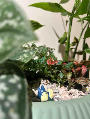 李珮齊 - 植栽設計