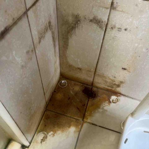 小松鼠清潔🐿️ - 浴室除霉清潔（施作前）
肉眼可見大量霉斑