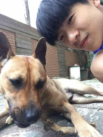 提供壁貼之家服務的專家林忠陽