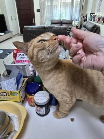 Susan Wang -  Susan Wang -