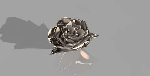 Ranfri - 胸針氛圍圖