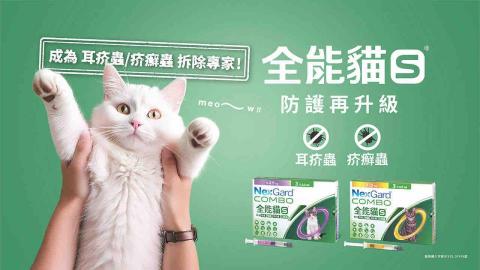 MJ - 網站banner設計