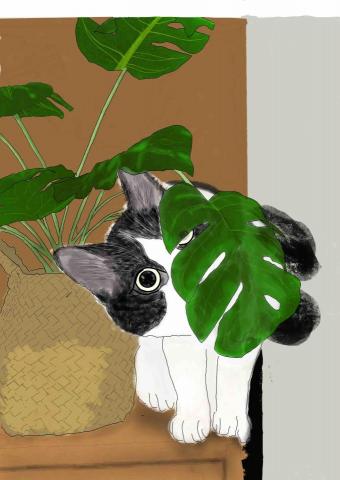 N+at Studio - 寵物照美化插畫