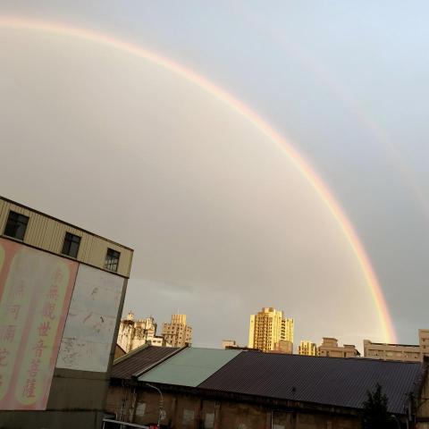 提供家裡老鼠服務的專家陳瑋博